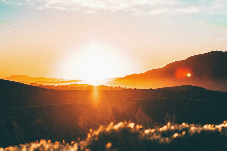 website 900x600 (21)